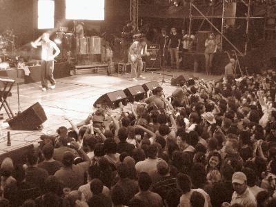 Concierto de Calle 13 Galería 3