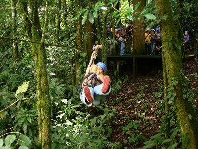 Sábado de Canopy