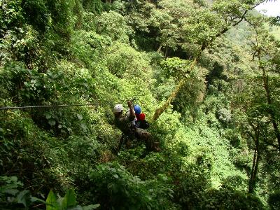 La Segunda Parte del Canopy La Carpintera