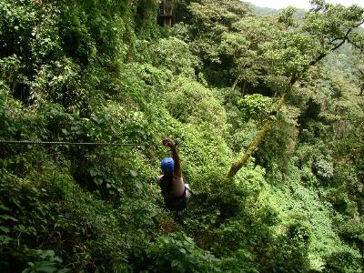 La Segunda Parte del Canopy La Carpintera